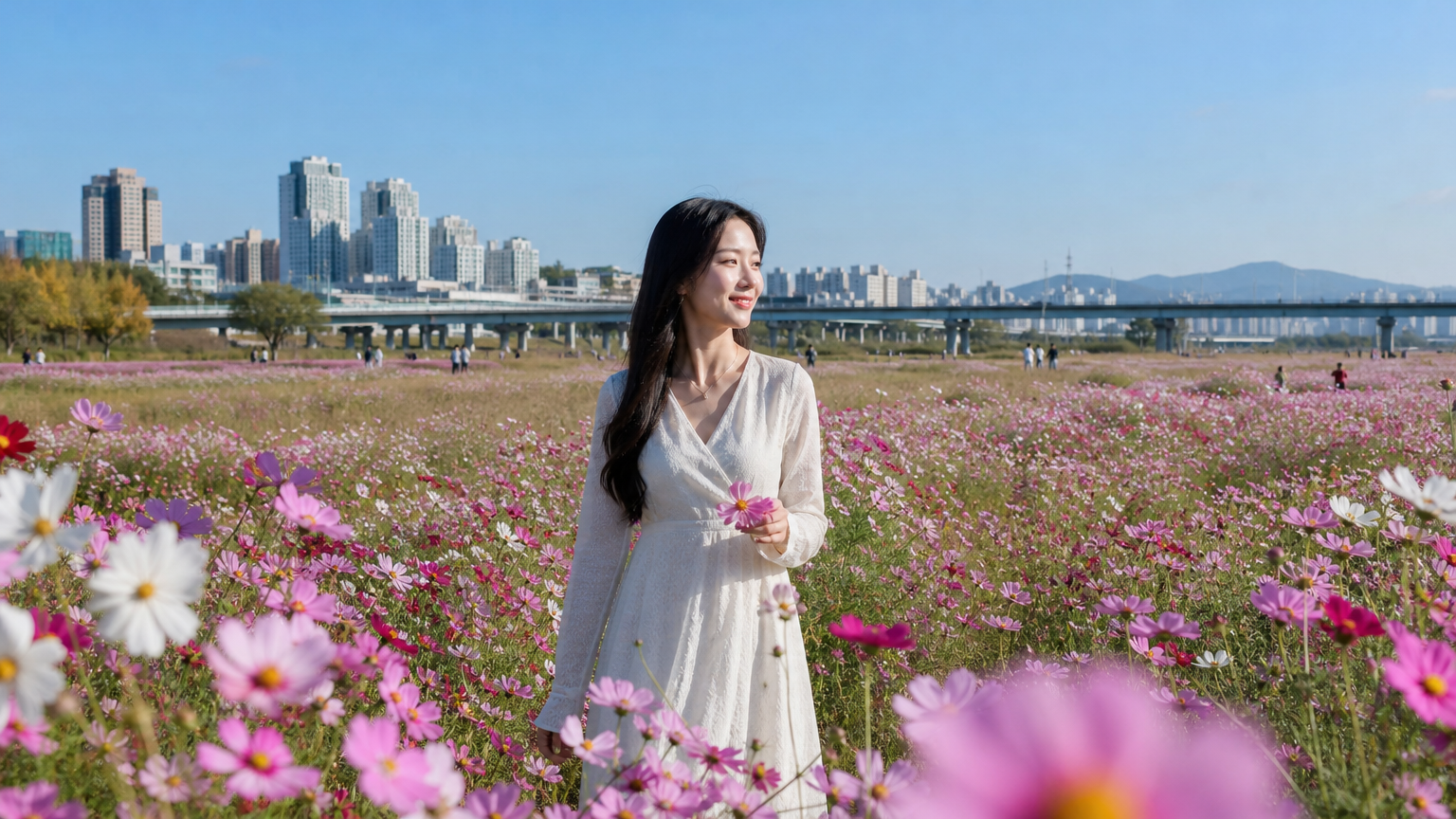 가을에 서울 근교 코스모스 꽃밭을 걷는 한국 여성의 모습