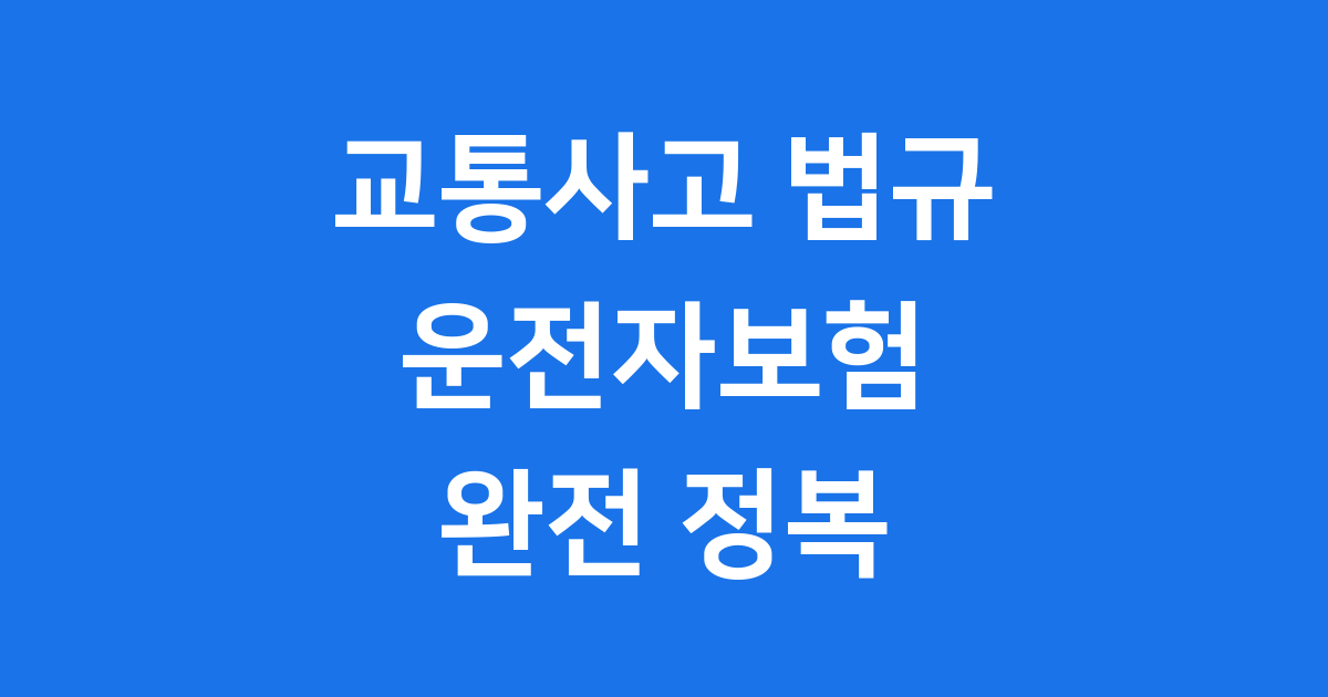 교통사고처리특례법 벌점 Q&A 운전자보험과 관계