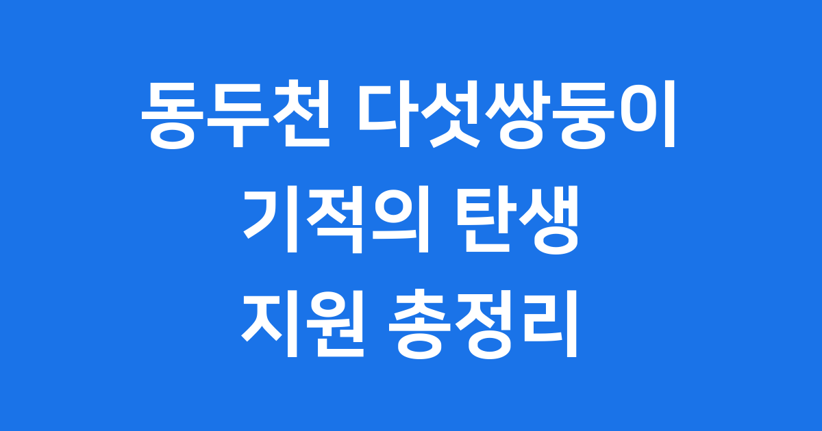 동두천 다섯쌍둥이 기적의 탄생 지원까지 완벽 정리