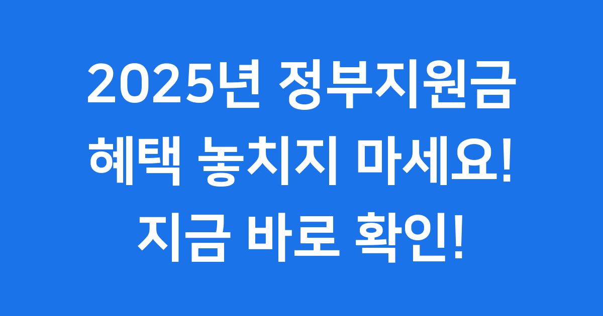 2025년 정부지원금 최신 혜택 신청 방법 완벽 정리