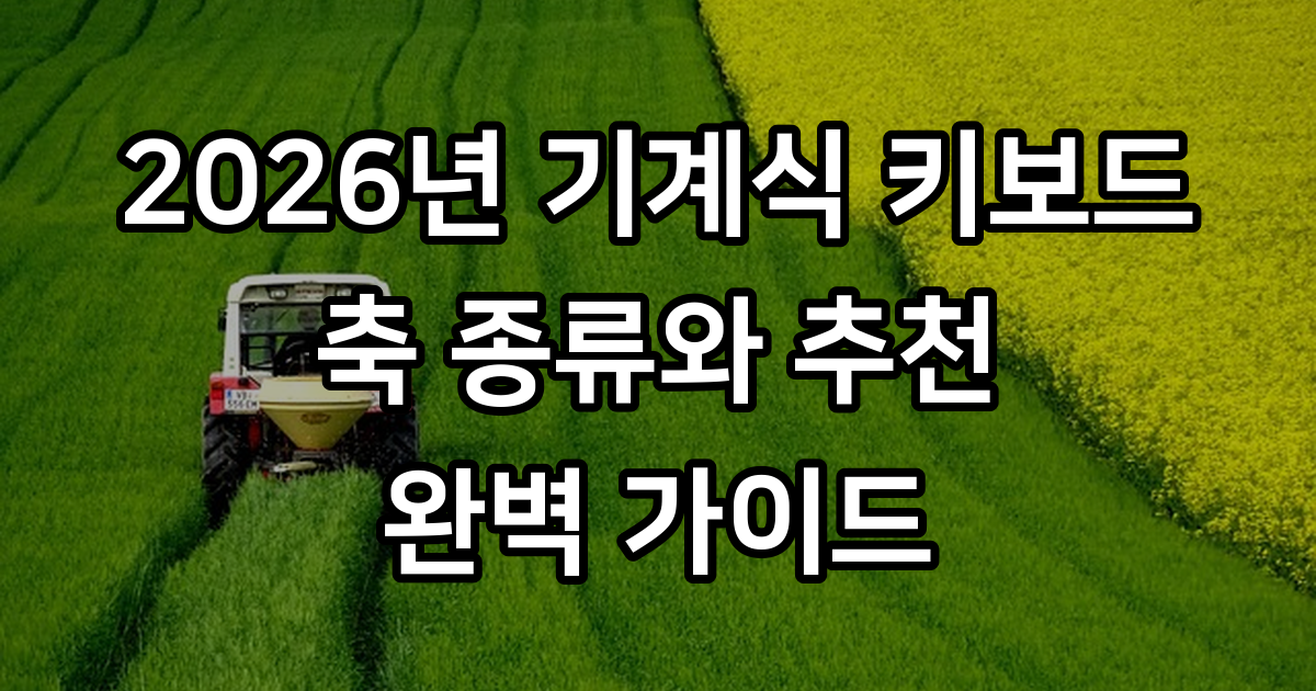 2026년 기계식 키보드 축 종류와 추천 모델 완벽 가이드