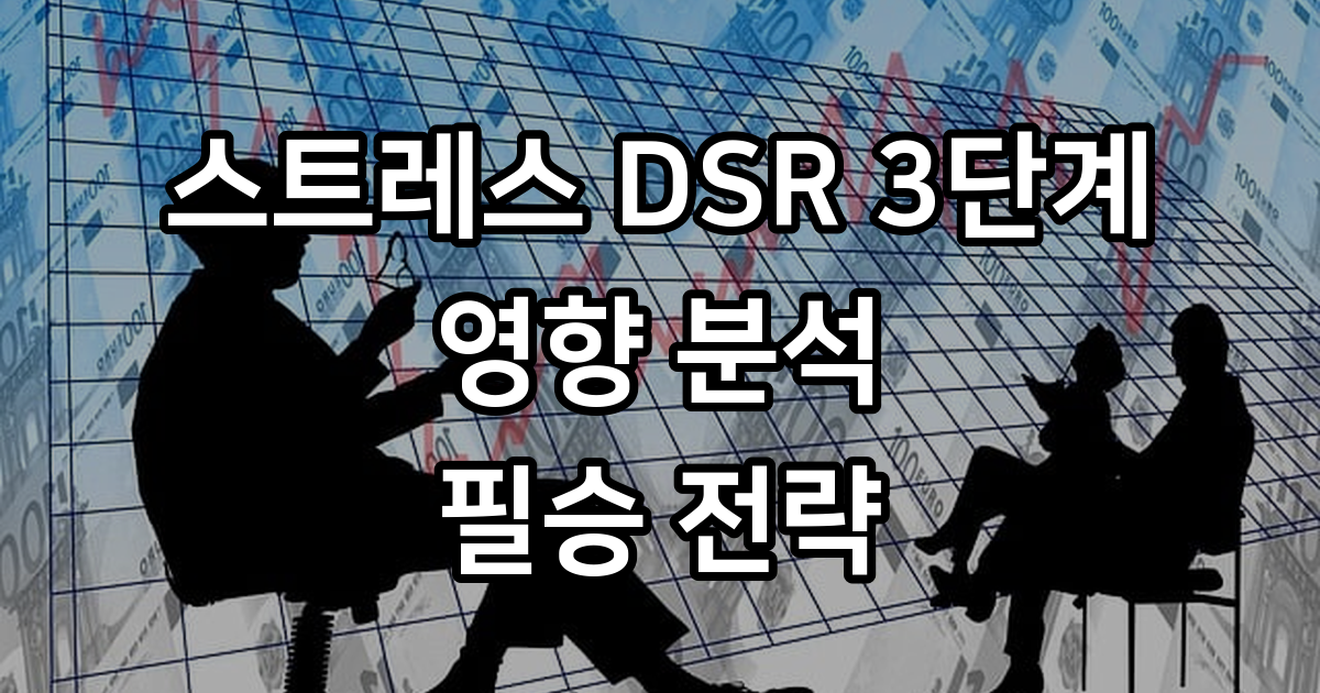 스트레스 DSR 3단계 영향 분석 및 전략