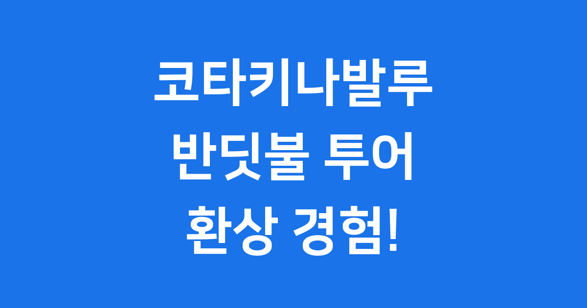 코타키나발루반딧불투어 놓칠 수 없는 환상 여행