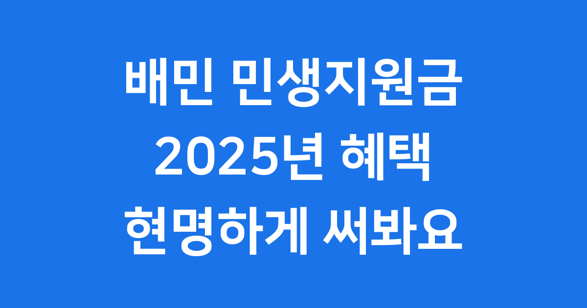 배민 민생지원금 현명하게 사용하는 법