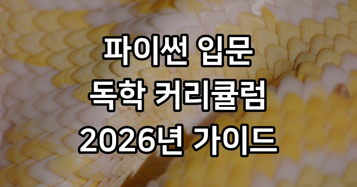 파이썬 입문 독학 커리큘럼