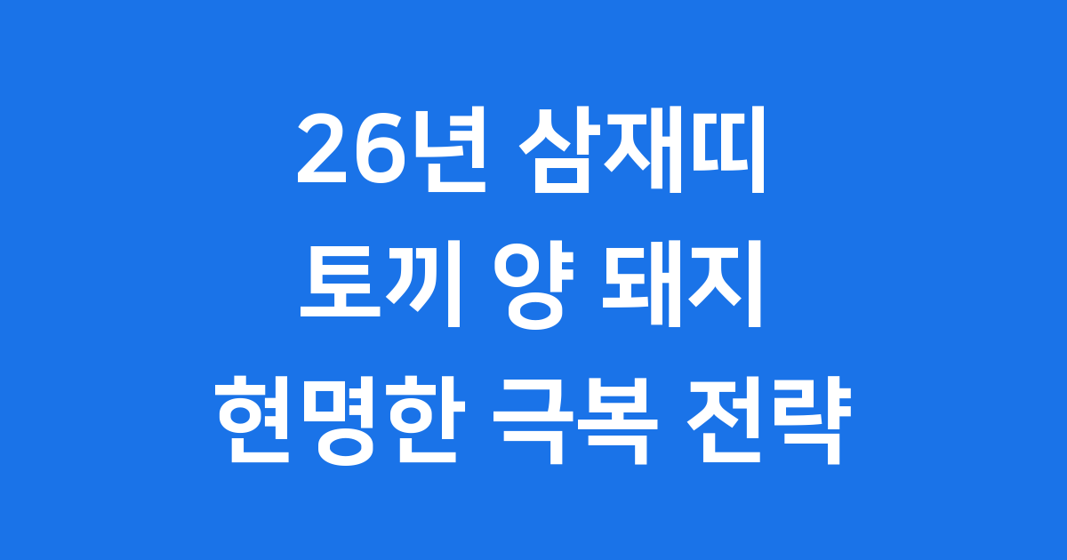 26년 삼재띠