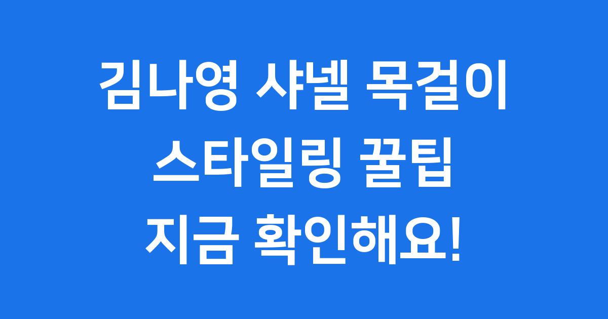 김나영 샤넬 목걸이 2025년 가격 스타일링 팁