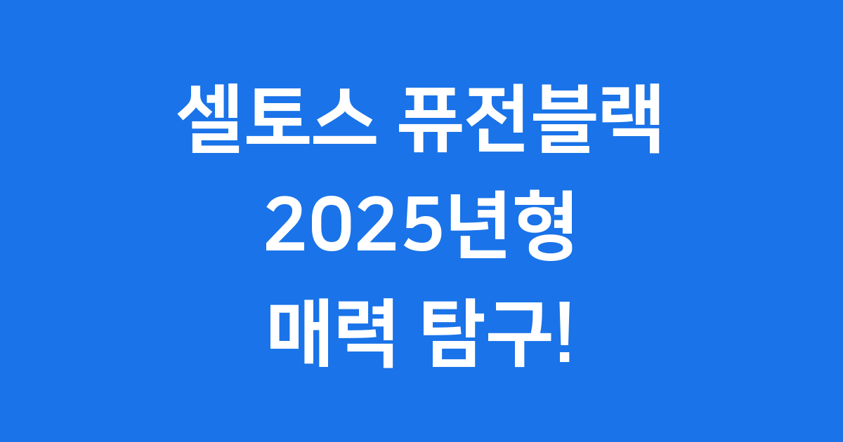 셀토스 퓨전블랙 2025년형 매력에 빠져볼까요?