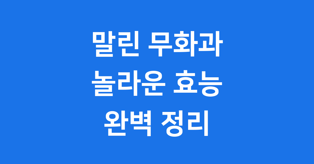 말린 무화과 효능 영양성분 완벽 정리