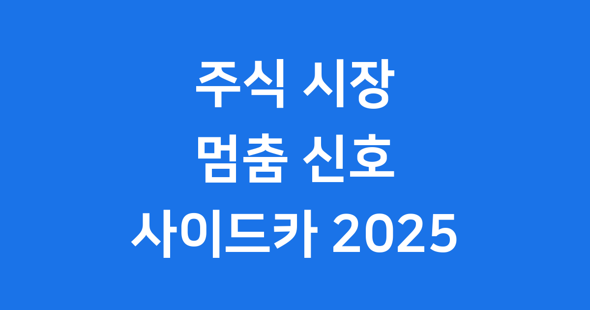 주식 시장 멈춤 신호 사이드카 2025