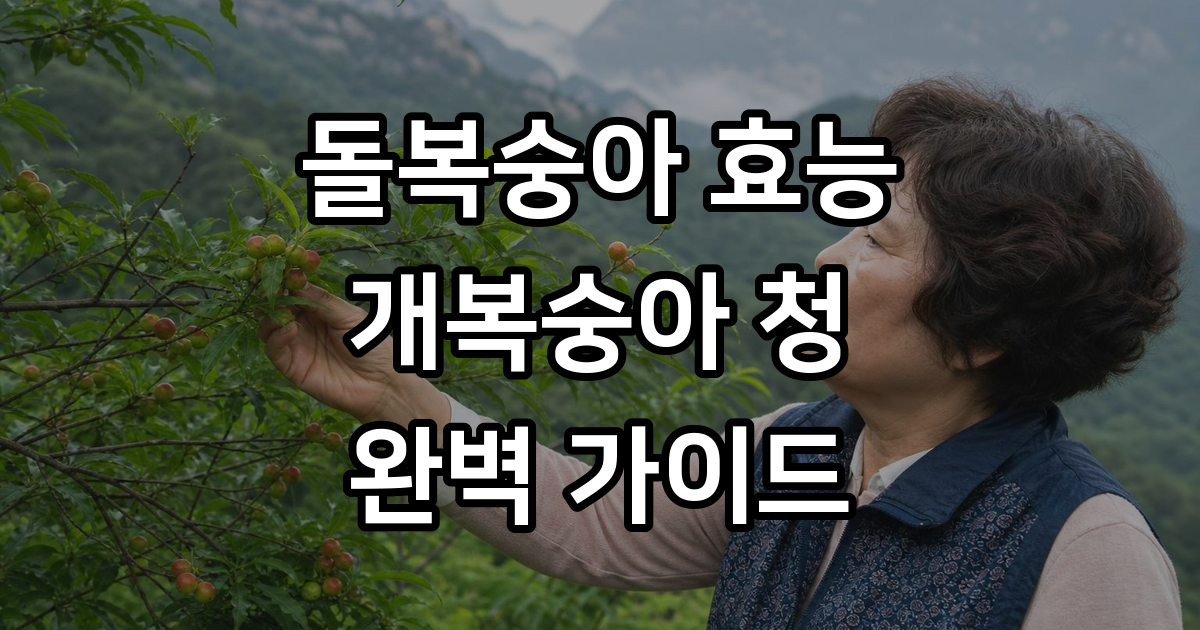 돌복숭아 효능 먹는법 알아봐요 개복숭아 청 액기스