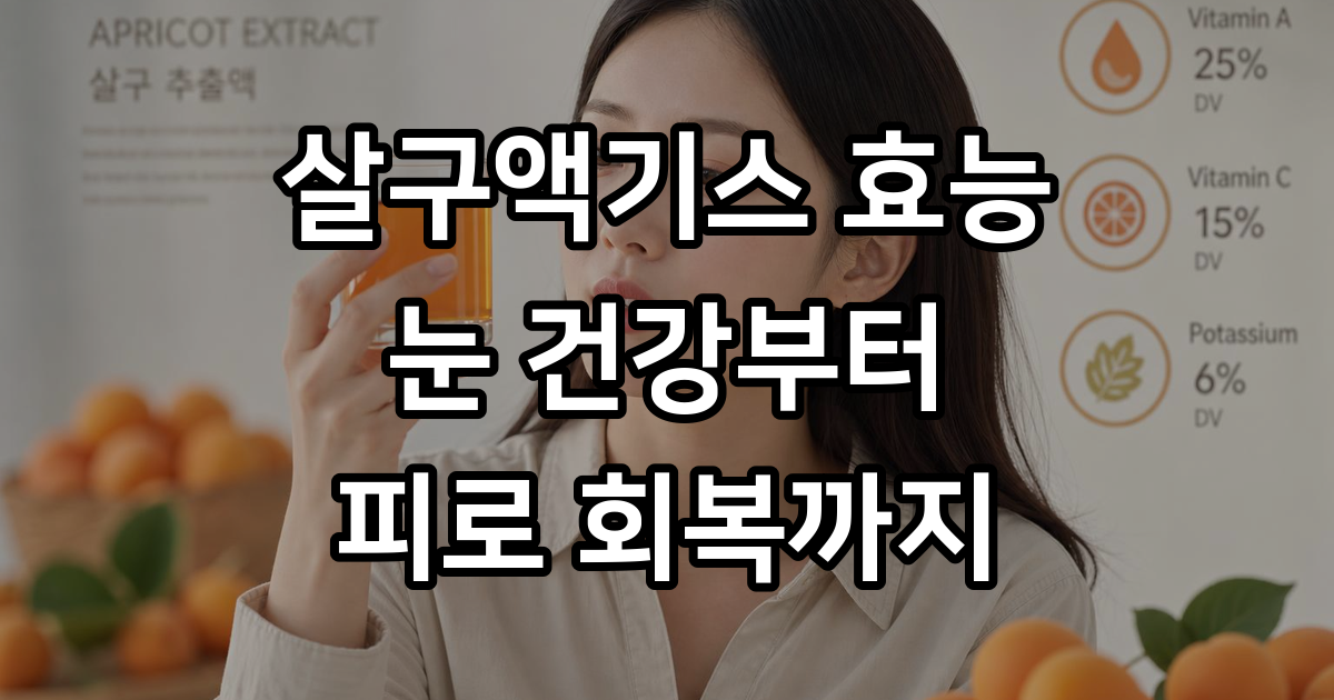 살구액기스 효능