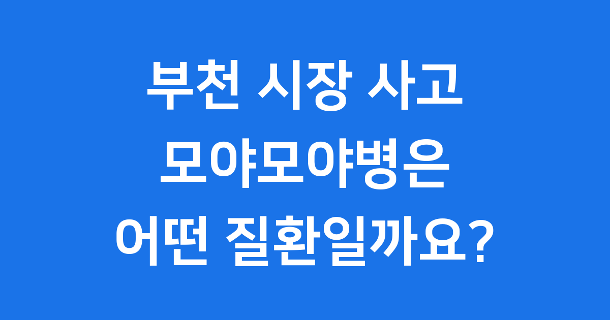 모야모야병 부천 시장 사고 운전자 주장 뇌혈관 질환