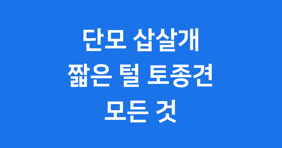 단모 삽살개 정의 특징 성격 역사 건강 관리법