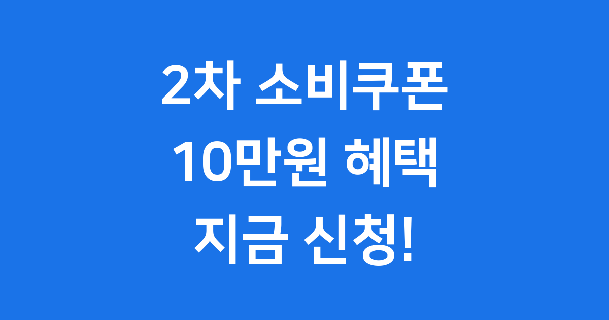2차 소비쿠폰 2025년 신청방법 제외기준