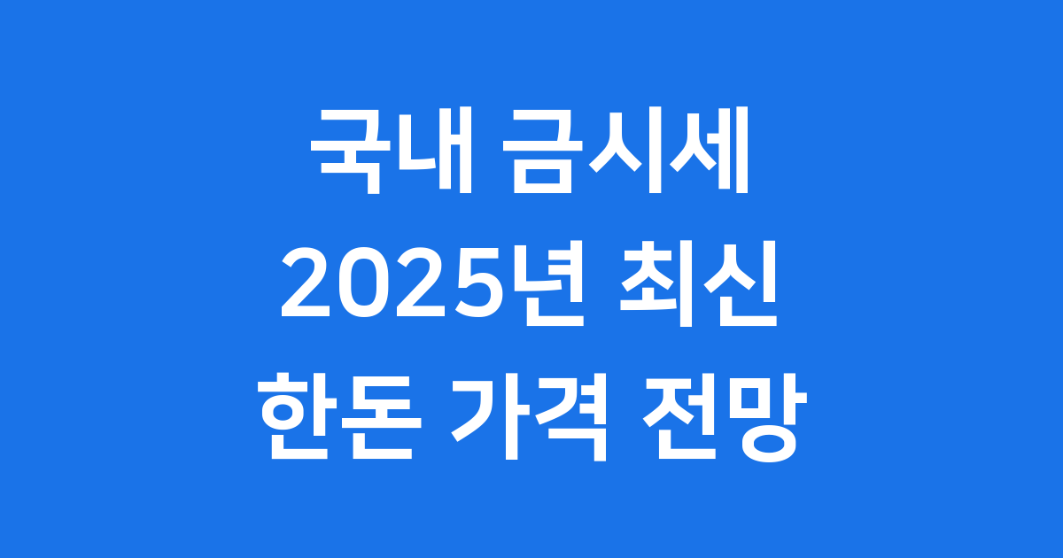 국내 금시세 2025년 최신 현황 전망 한돈 가격