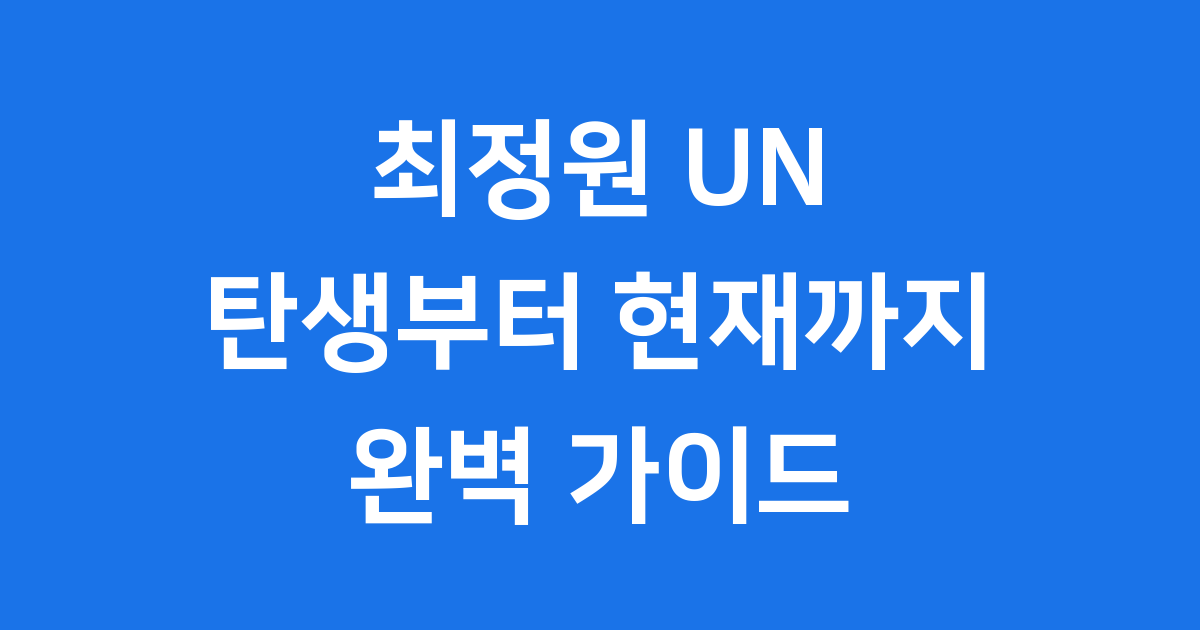 유엔 최정원 이야기