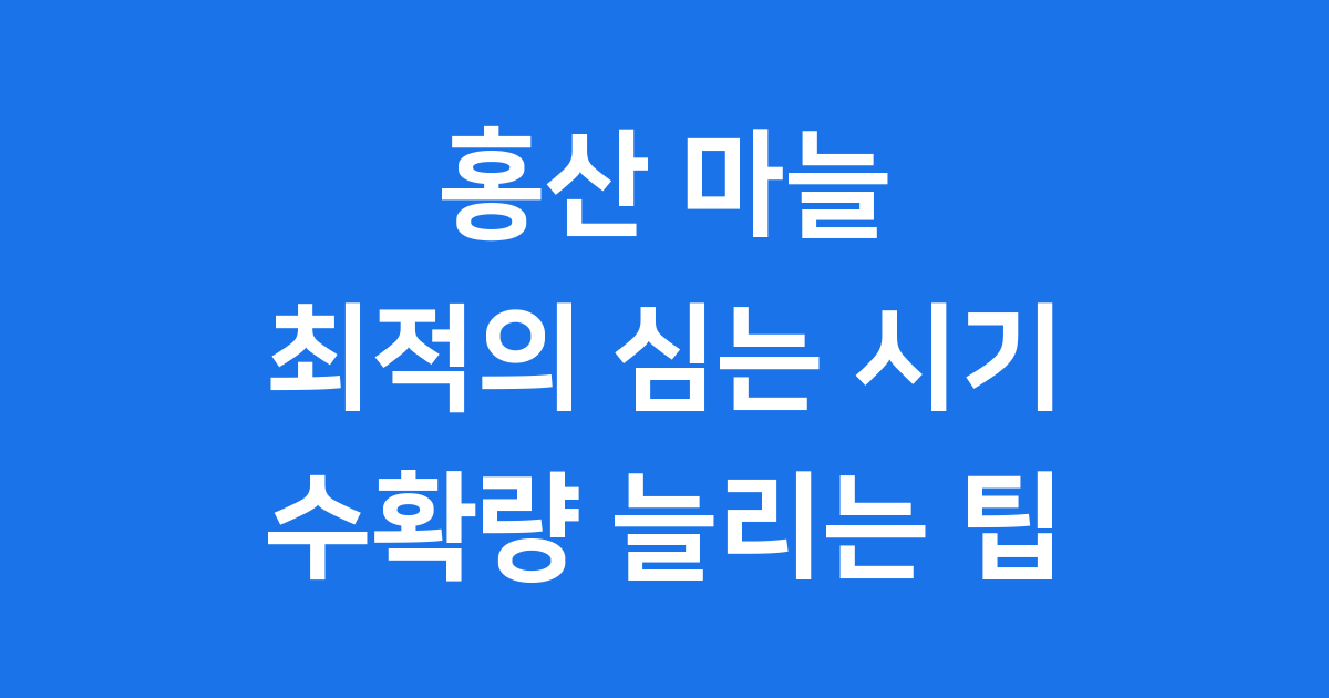 홍산 마늘심는시기 최적의 재배 방법