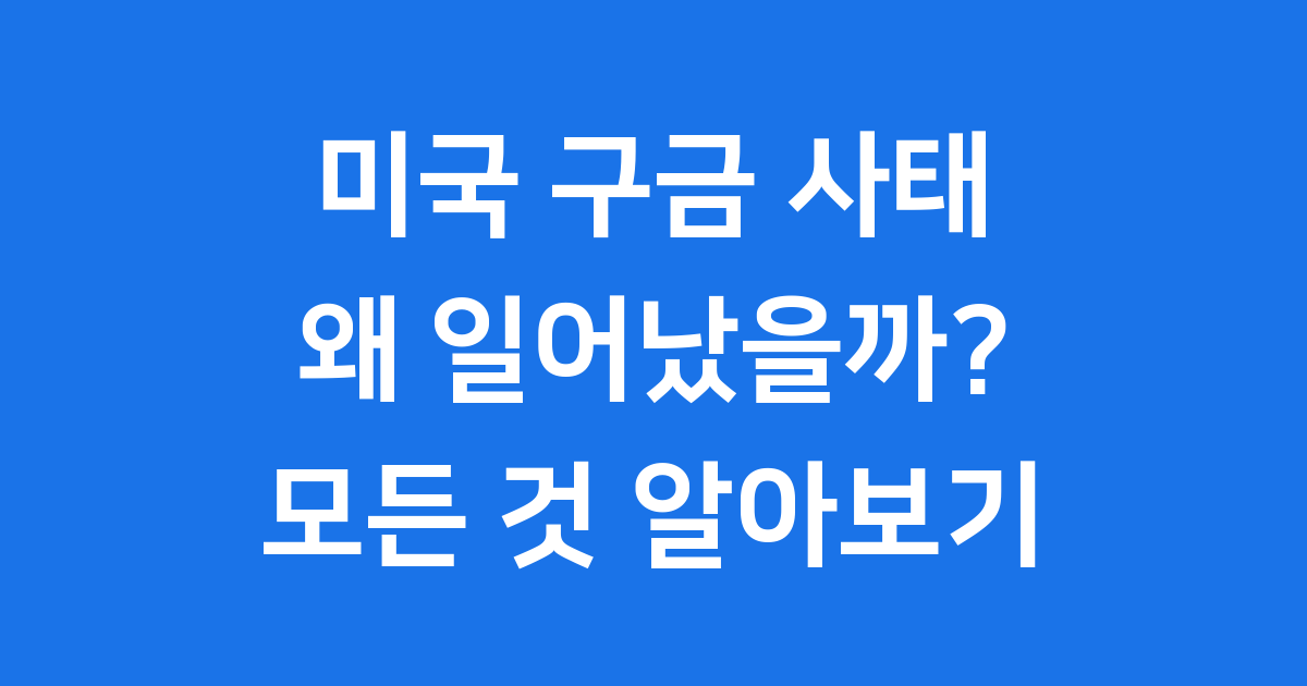 미국 구금 사태 이유
