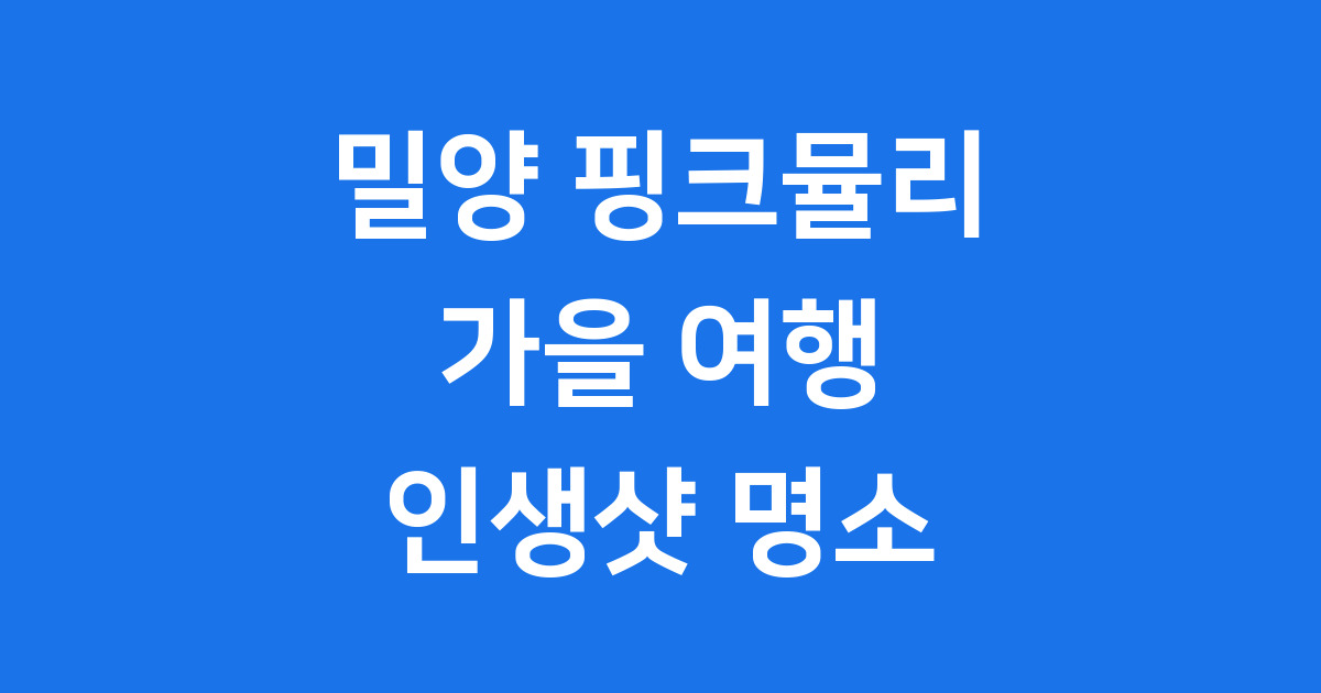 밀양 핑크뮬리 가을 여행 인생샷 명소