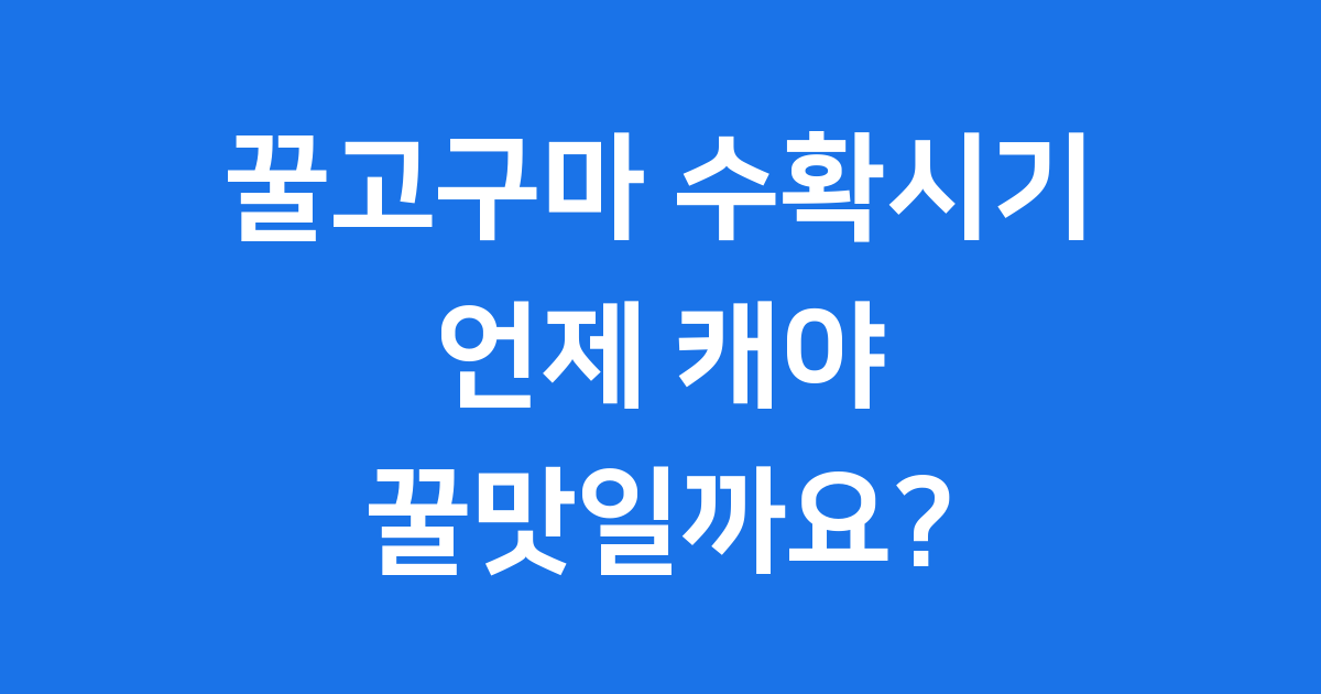 꿀고구마 수확시기 언제 심어야 할까요