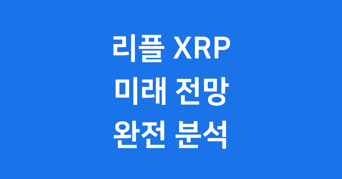 인내심 투자자들의 선택 리플 XRP 가치 재평가