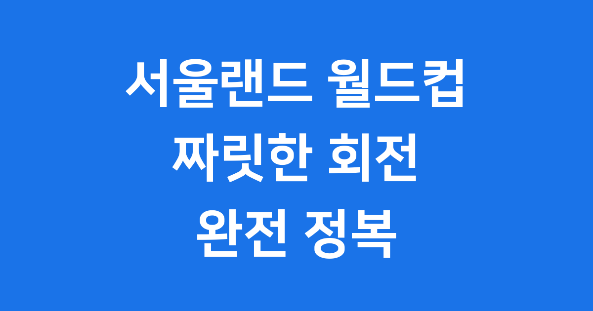 서울랜드 월드컵 완전정복