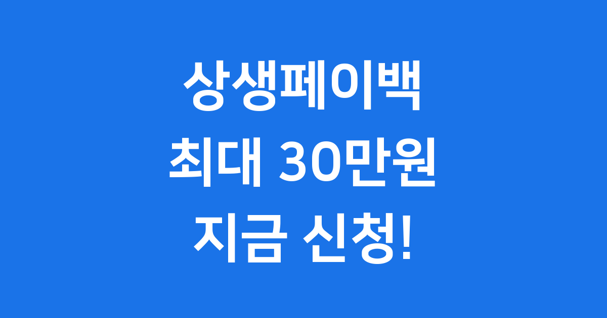 상생페이백 2025년 신청방법 자격요건 30만원 환급