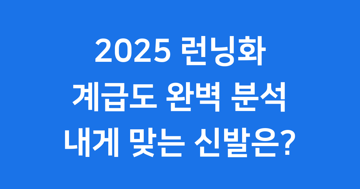 2025 런닝화 계급도 완벽 분석
