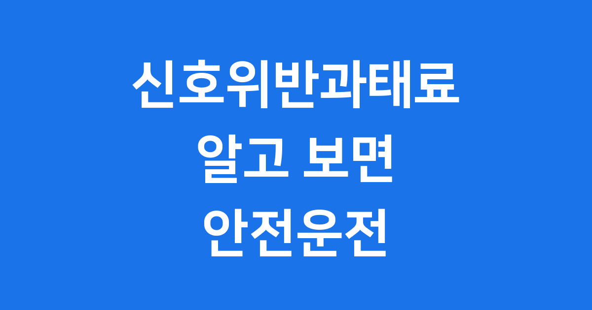 신호위반과태료 2025년 최신 금액 조회 방법