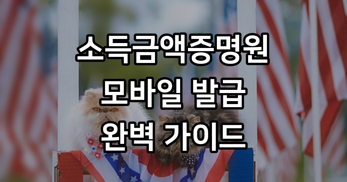 소득금액증명원 인터넷 발급 방법