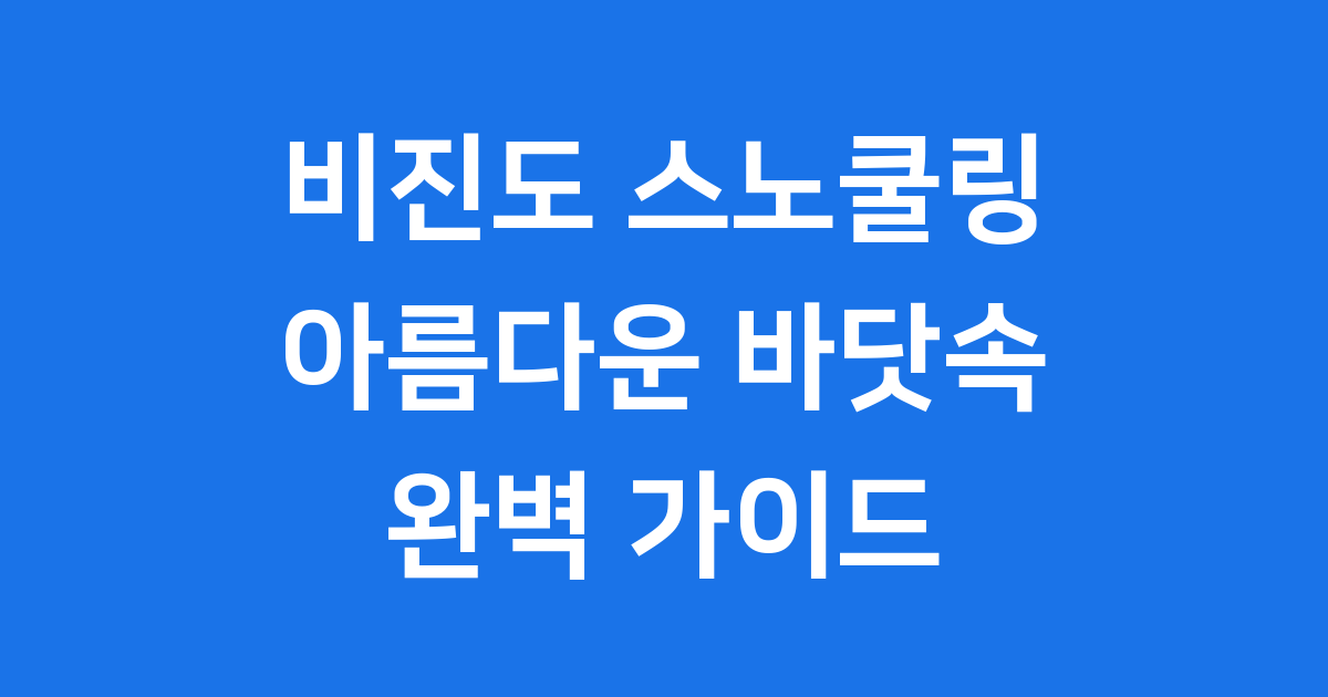 비진도 스노쿨링, 아름다운 바닷속 완벽 가이드