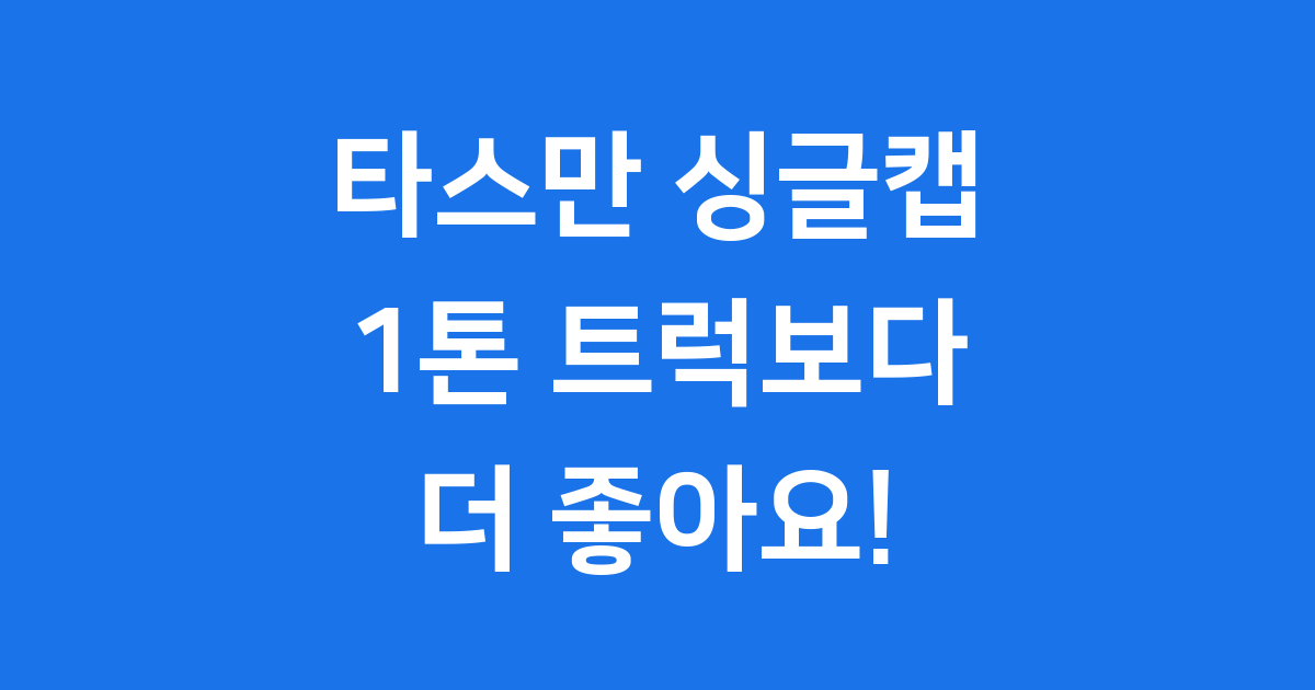 타스만 싱글캡 2025년 출시 가격은?
