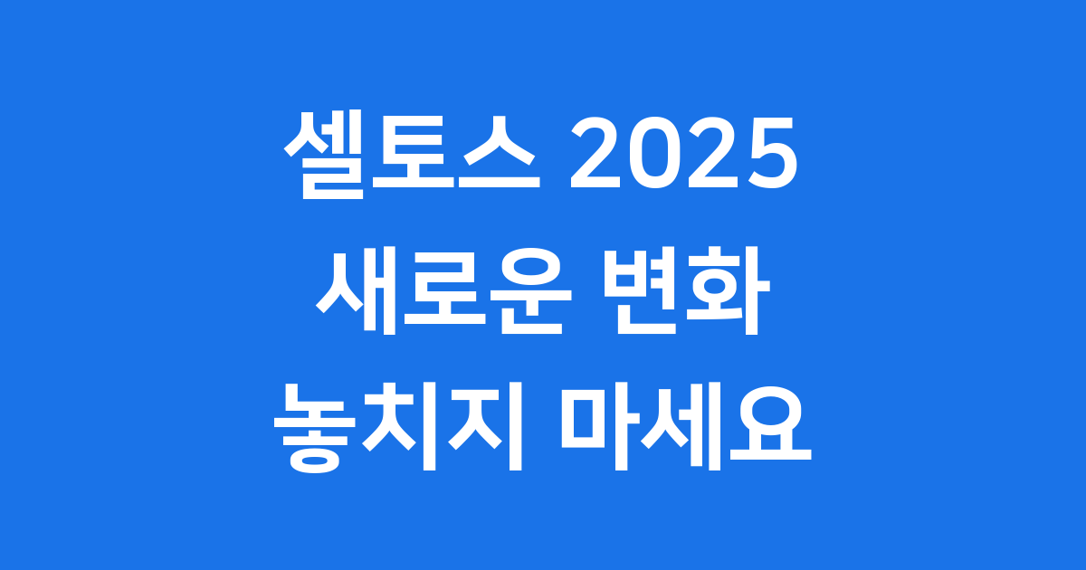 셀토스 2025년형 새로운 변화 확인