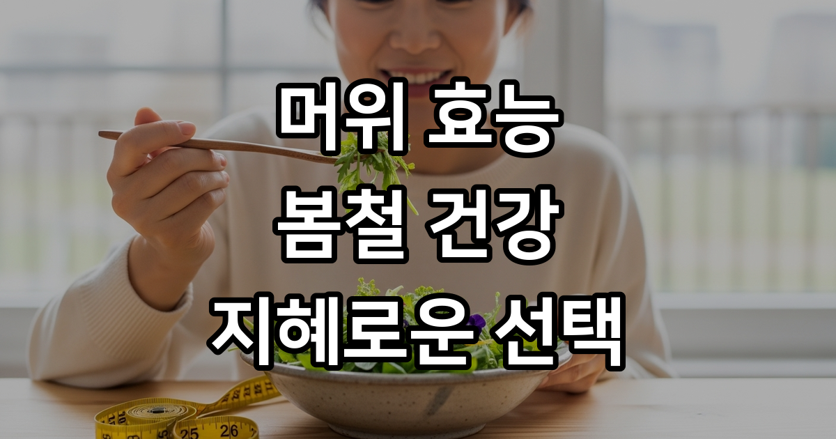 머위의 놀라운 7가지 효능 건강하게 즐기는 완벽 가이드
