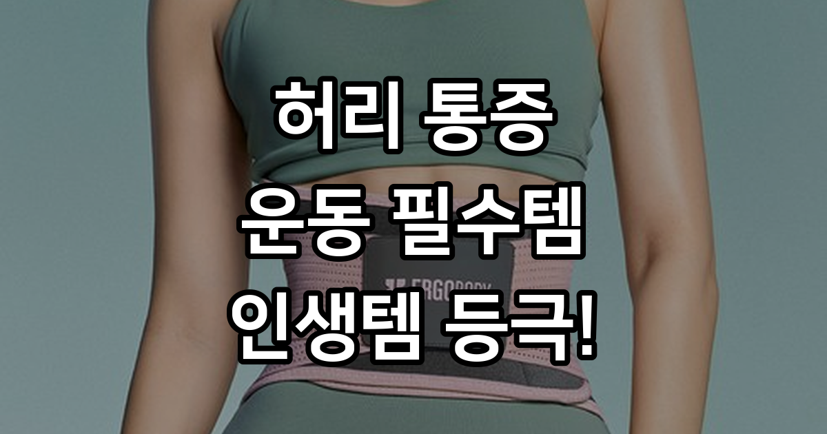 에르고바디 핏유어코어 허리보호대 5개 지지대로 탄탄하게 잡아줘요 사용기