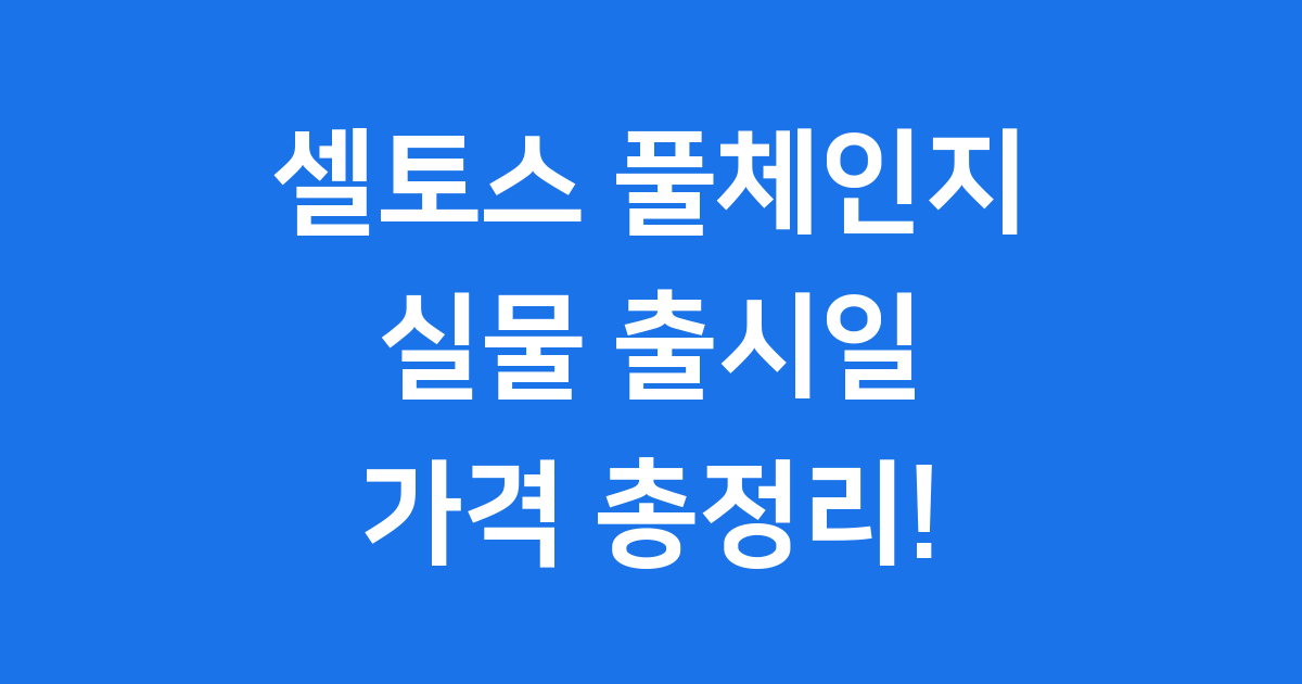 셀토스 풀체인지 실물 출시일 가격 총정리