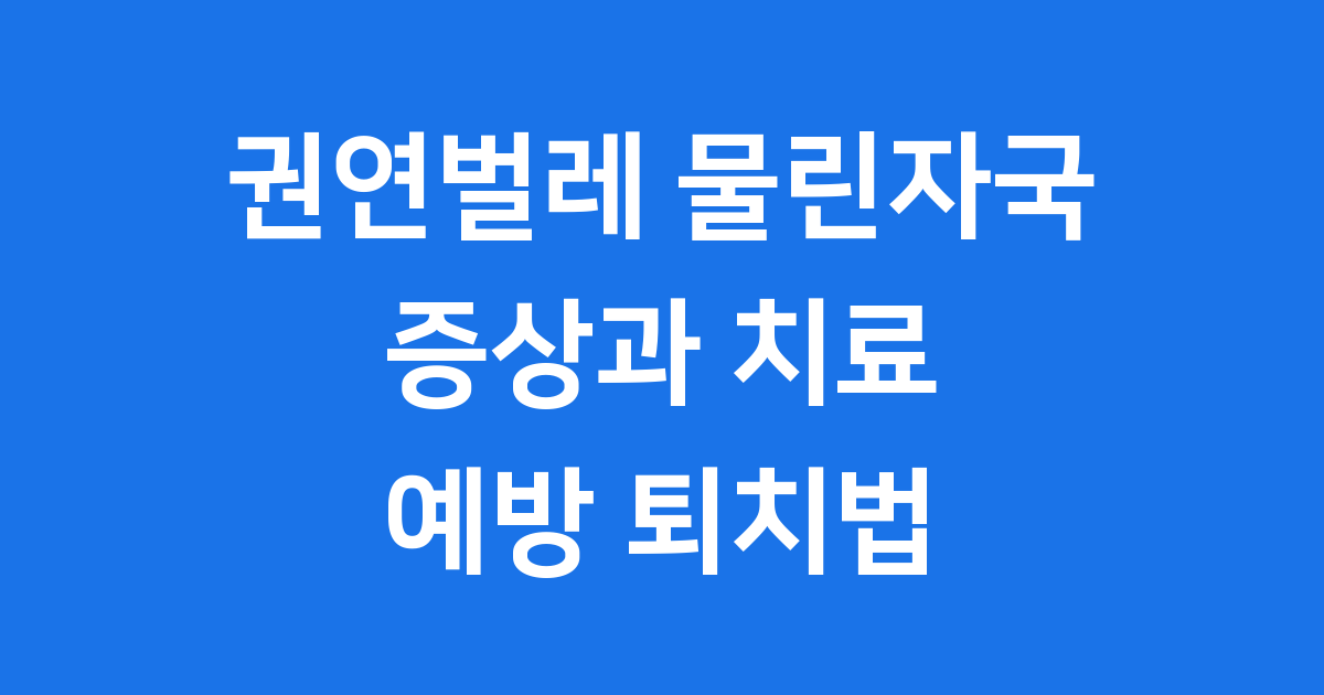 권연벌레 물린자국 증상과 치료 예방 퇴치법