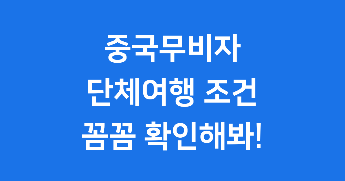 2025년 중국무비자 단체여행 조건 확인