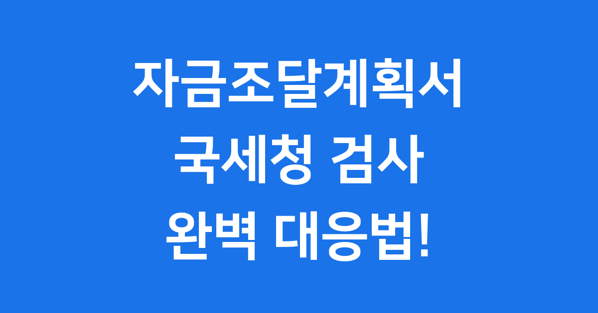 자금조달계획서 국세청 검사 피하는 작성법