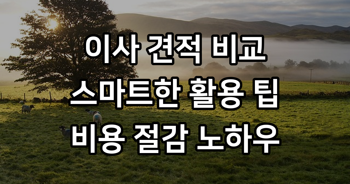 이사 견적 비교 사이트 활용 팁