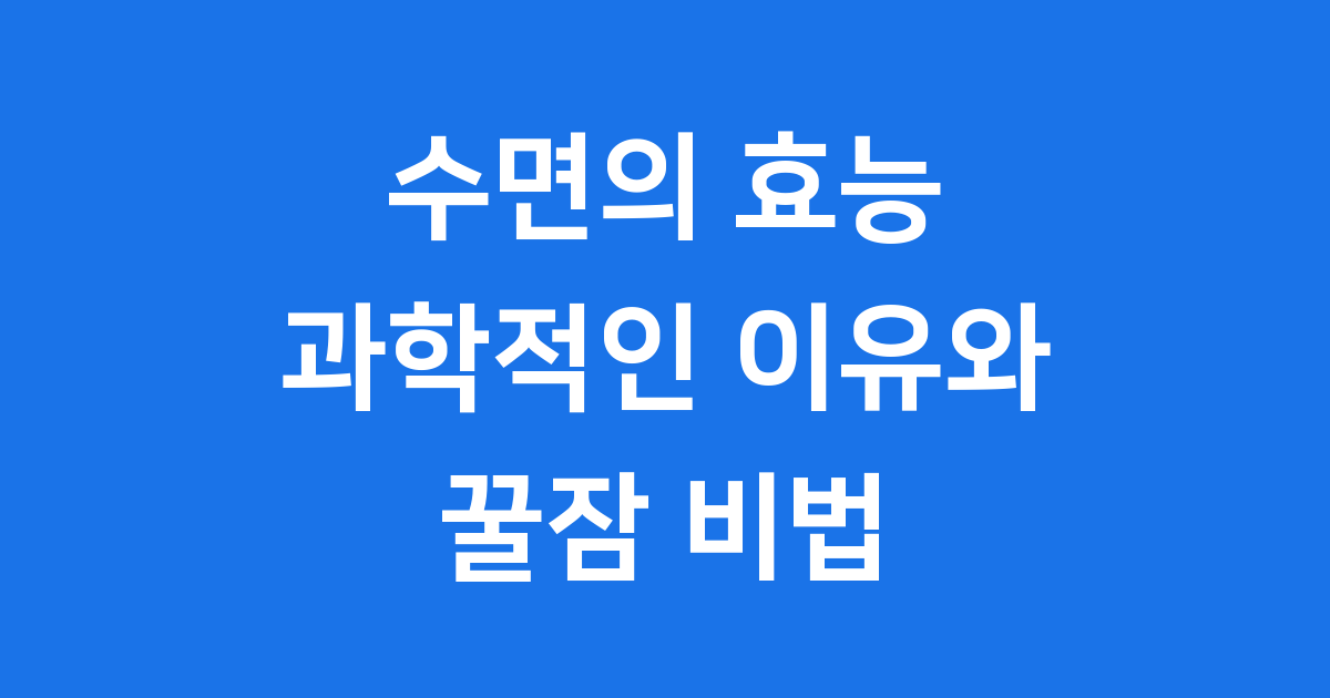 수면의효능 과학적인 이유와 꿀잠 비법