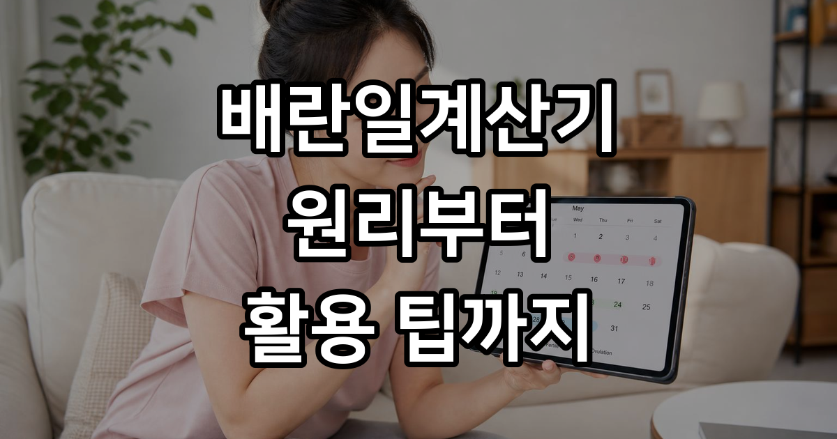배란일계산기