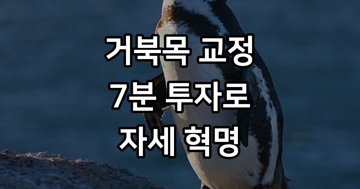 거북목 교정 스트레칭 루틴