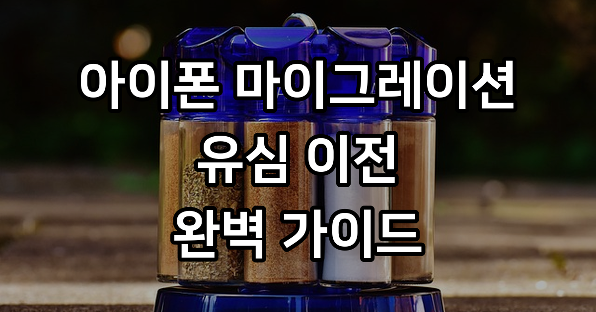 아이폰 마이그레이션 유심 이전 완벽 가이드
