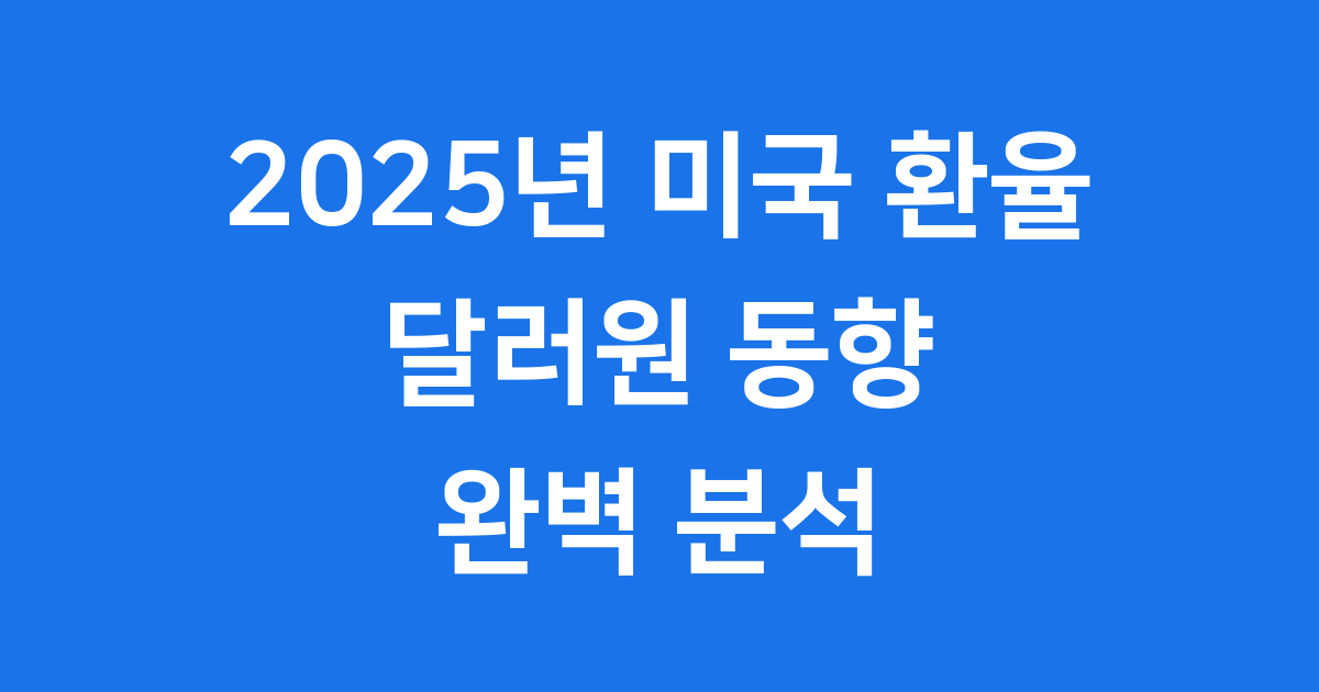 2025년 미국 환율 동향 분석