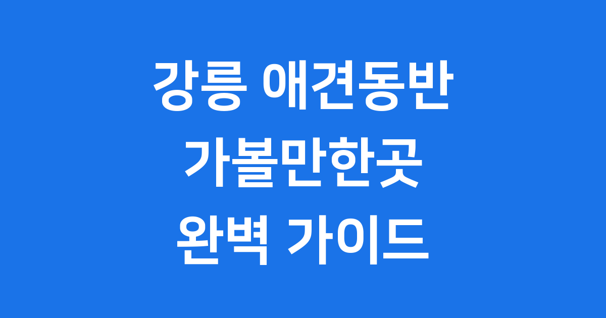 강릉 애견동반 가볼만한곳 카페 식당 코스 추천