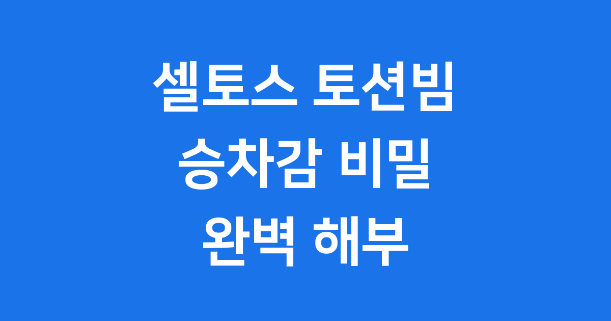 셀토스 토션빔: 인기 소형 SUV의 숨겨진 비밀