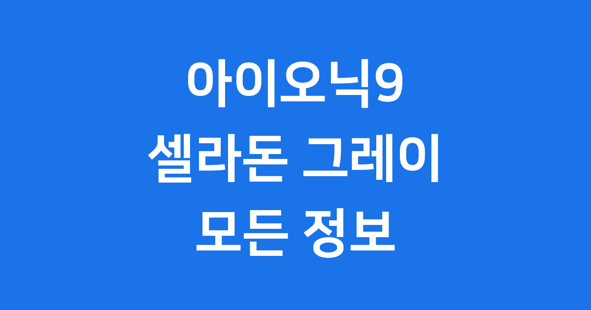 아이오닉9 셀라돈그레이 플래그십 SUV 모든 정보