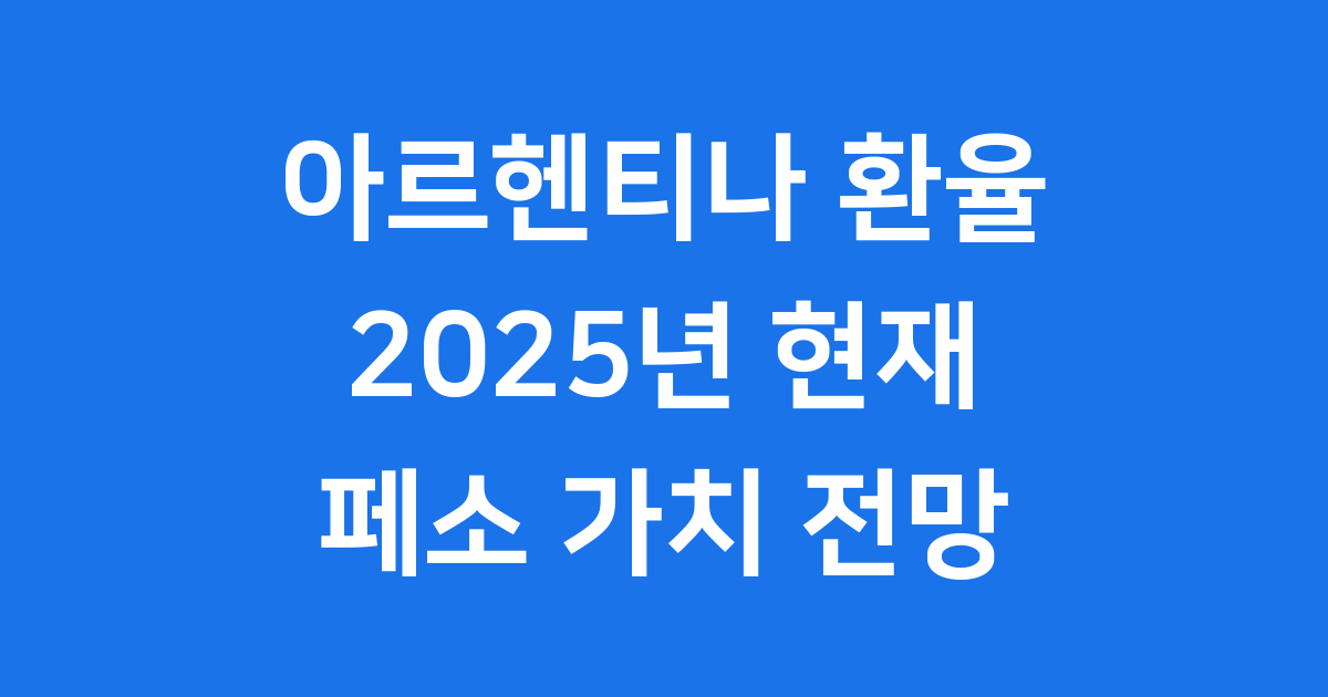 아르헨티나 환율 2025년 현재 페소 가치와 전망